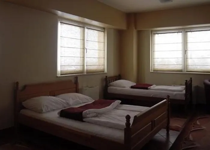 Bm International Sarajevo